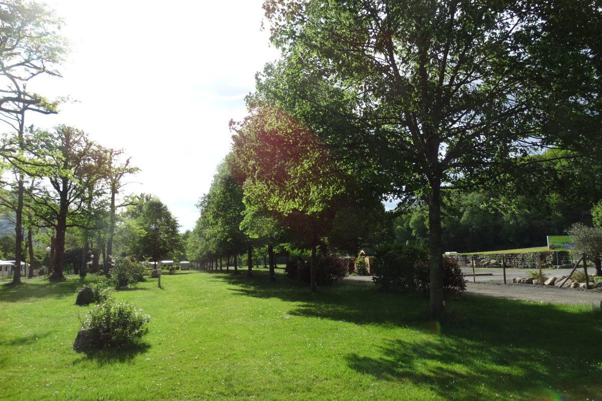 Camping a L’ombre des Tilleuls