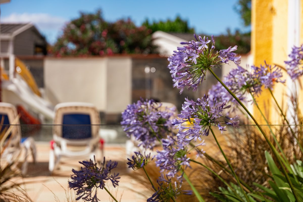 Camping Chadotel Le Roussillon