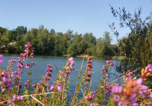 Camping Flower Les Étangs Mina