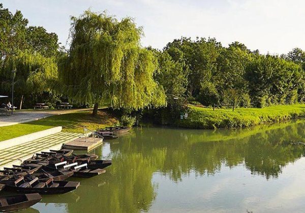What to Do in the Marais Poitevin?