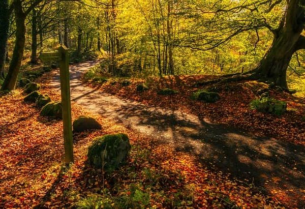 Die besten Wanderungen im Grand Est während eines günstigen Campingaufenthalts