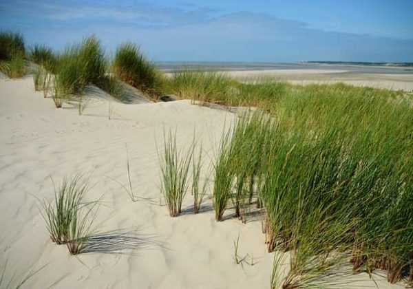 Die schönsten Strände der Hauts de France
