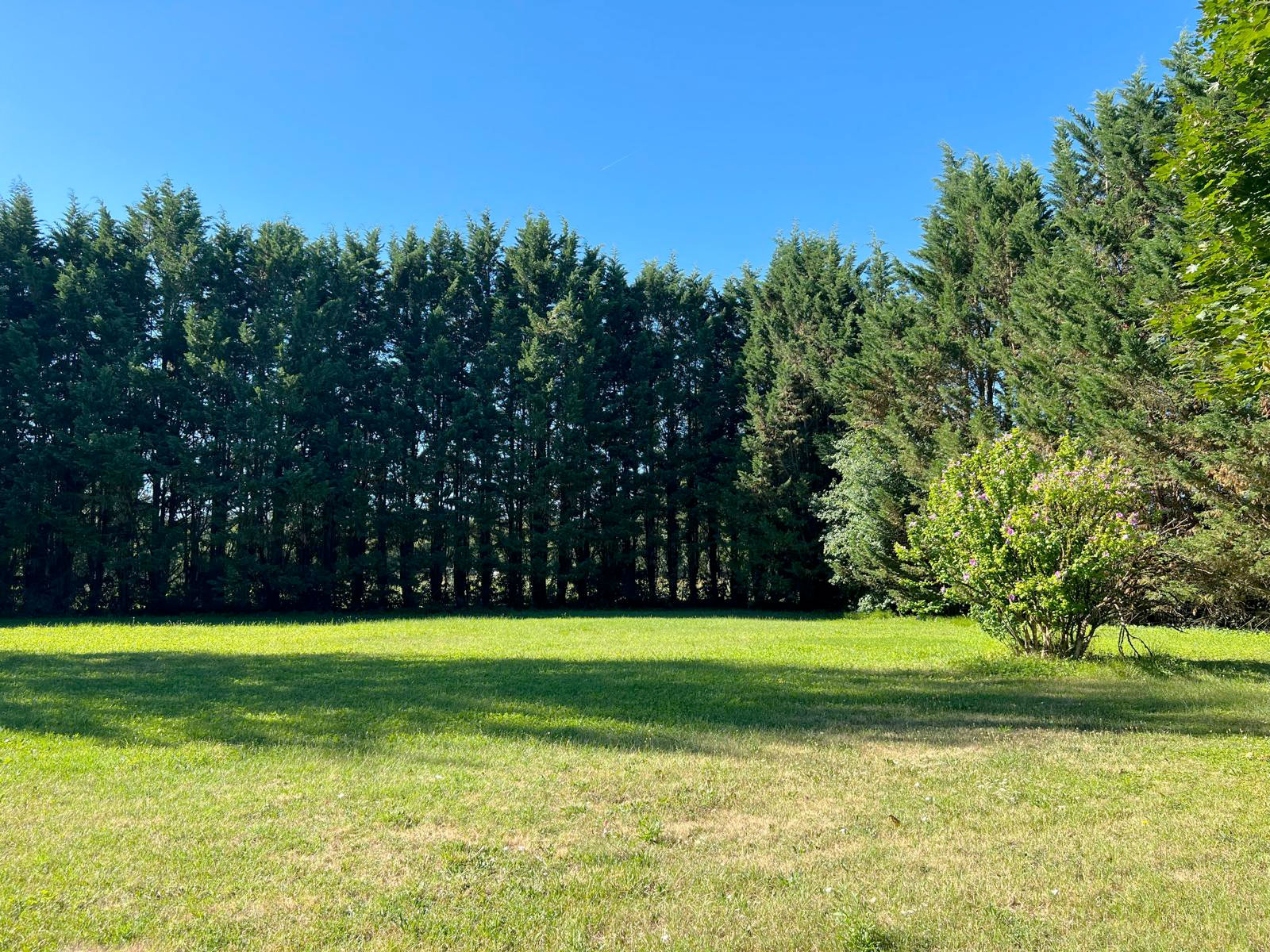 riviere-doree-foret-fontainebleau